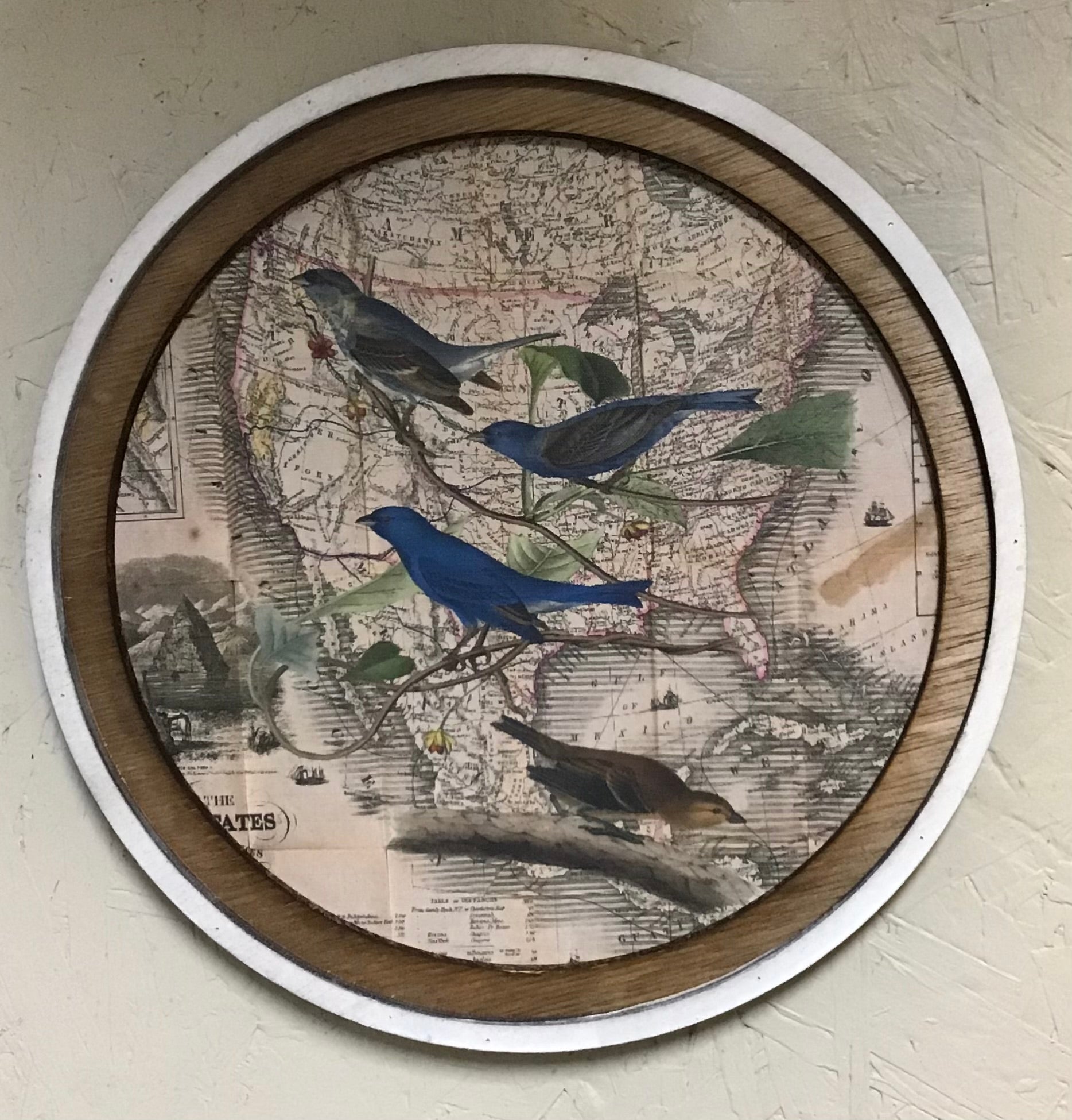 Four Blue Birds on Antique Map 11' Round
