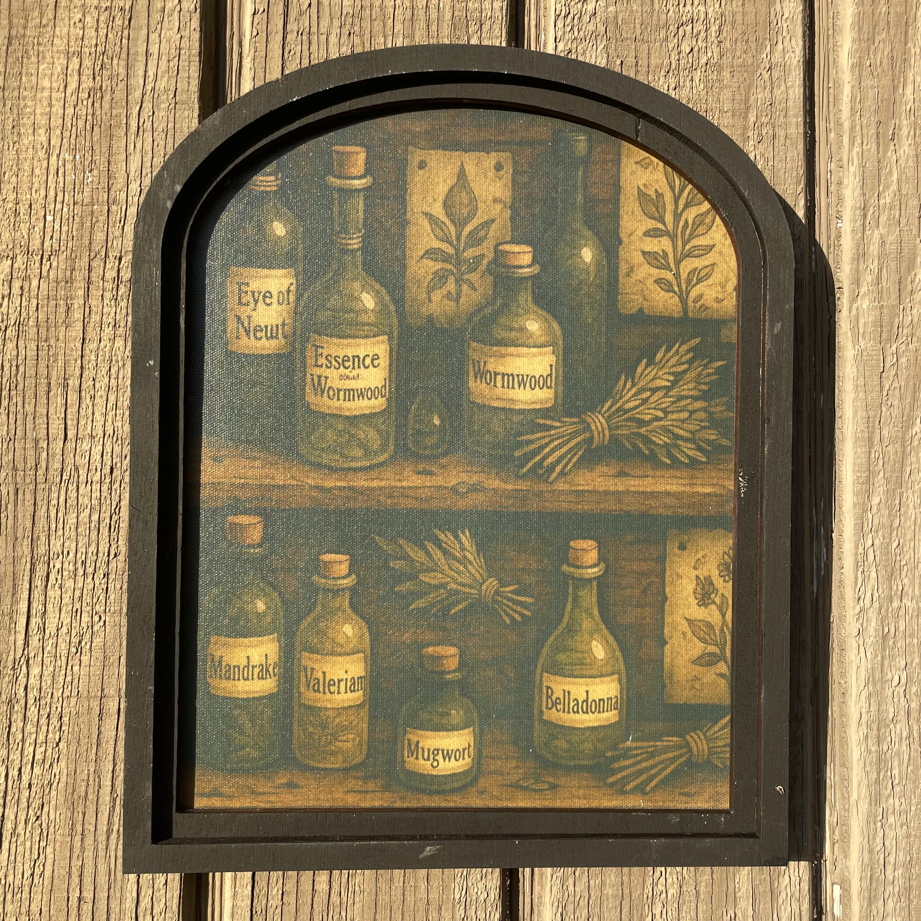 Set of 2 Apothecary Shelf Canvis Print Framed in Small Arch
