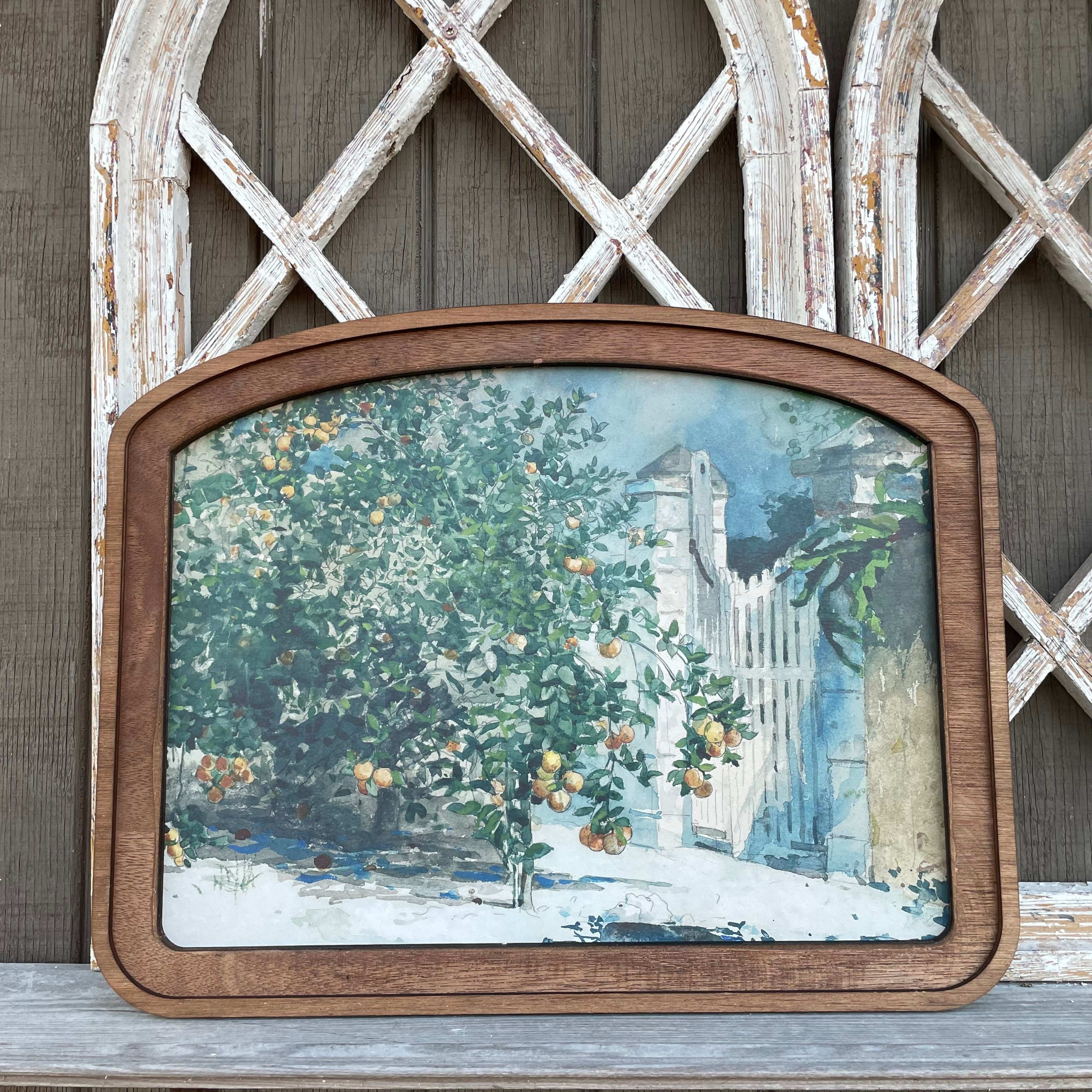 Orange Tree and Gate Wide Arched Frame