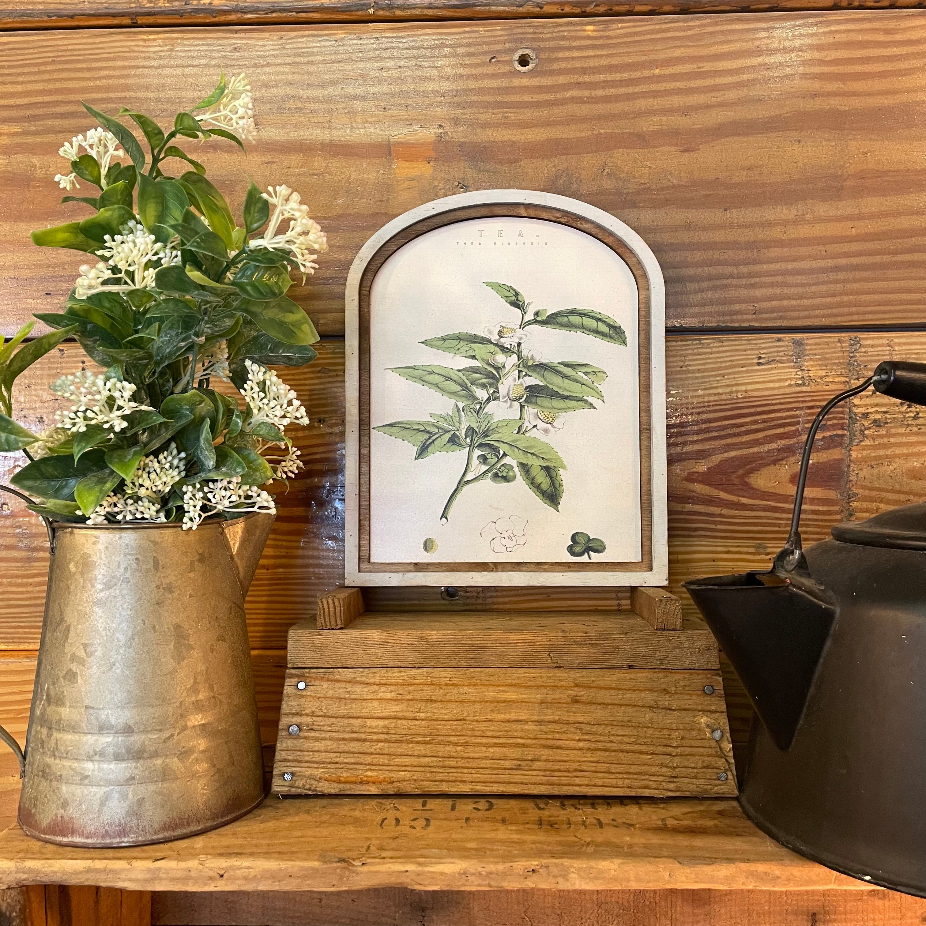 Tea Botanical Canvas Print Framed in Arch