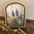 Snap Dragon in Meadow Canvas Print in Arched Frame
