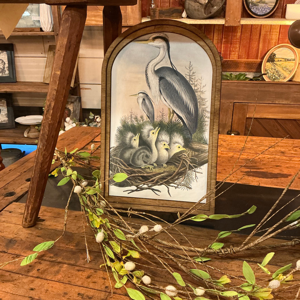 Heron and Chicks in Nest in Med Arch
