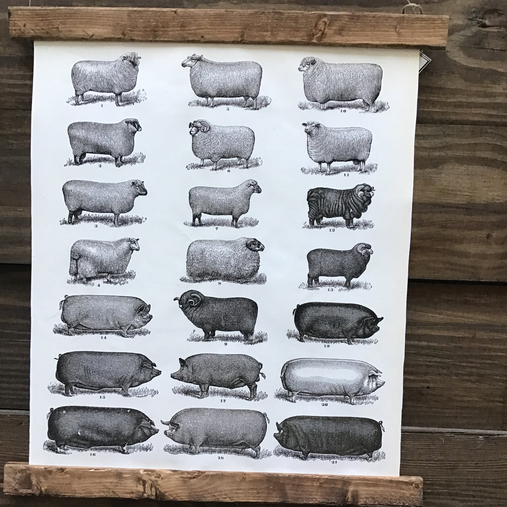Vintage Lamb and Pig Hanging Canvas