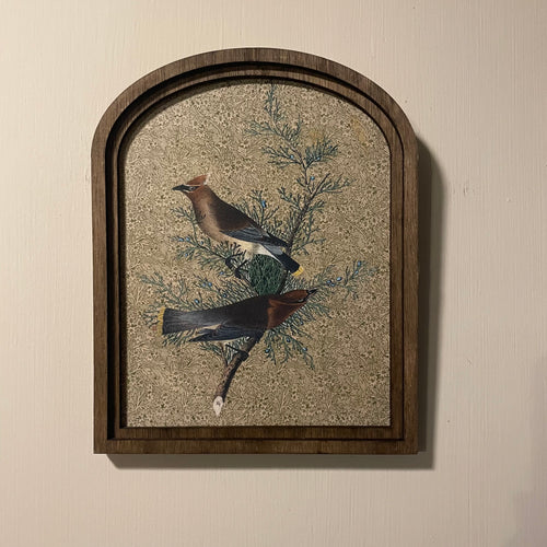 Cedar waxing Birds pair framed in small arch 