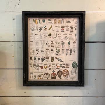 Mushroom Canvas Print Framed 2