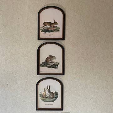 SET OF 3 BUNNY SMALL ARCH PRINTS