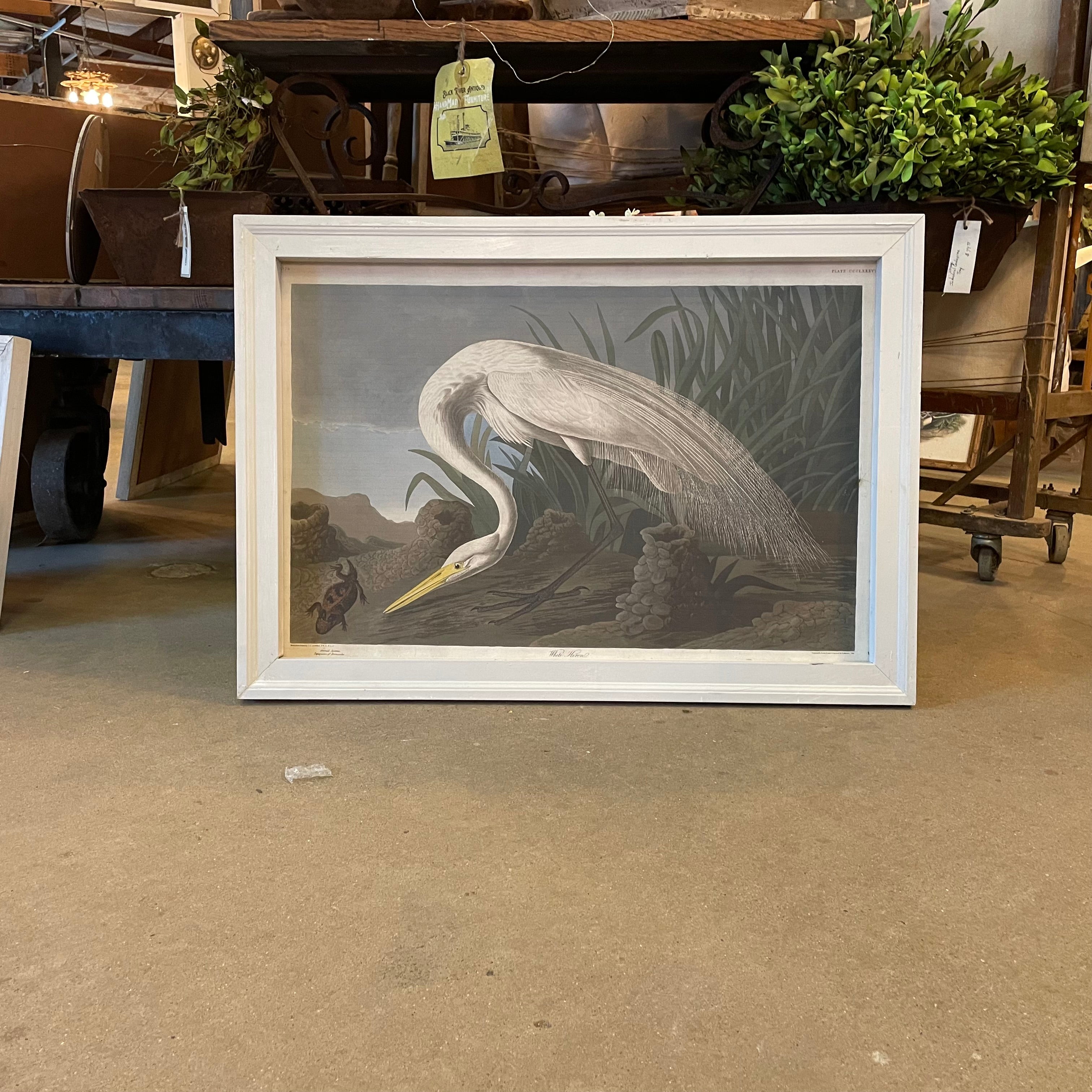 Framed White Heron