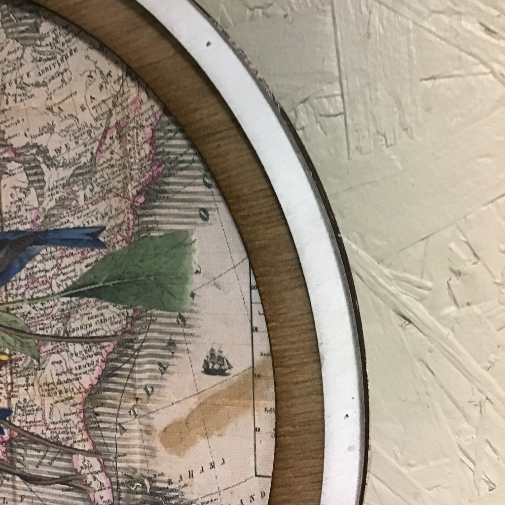 Four Blue Birds on Antique Map 11' Round
