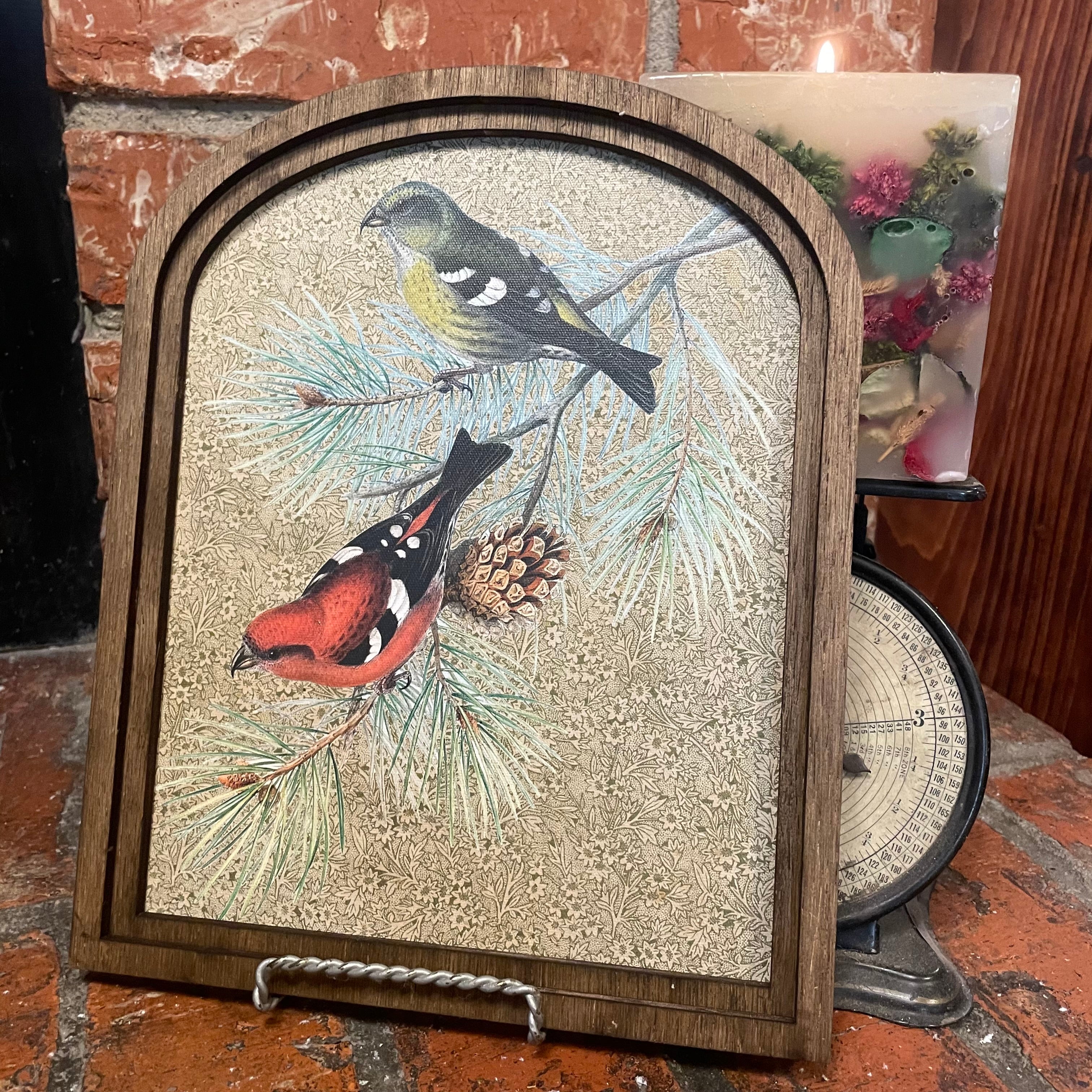 Crossbill Pine Pair of birds framed in Small Arch 