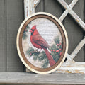 Red Cardinal on branch with 2 tone frame