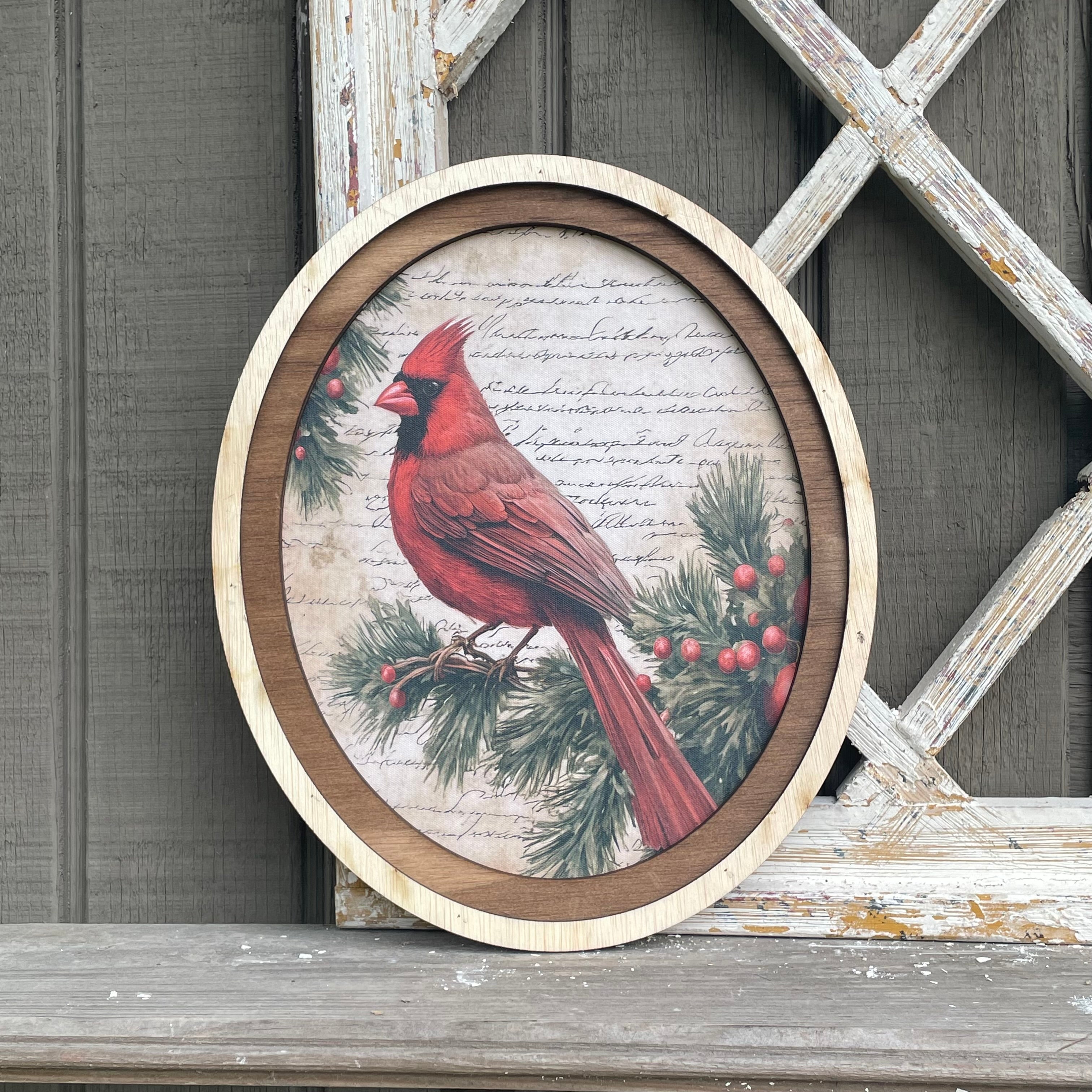 Red Cardinal on branch with 2 tone frame
