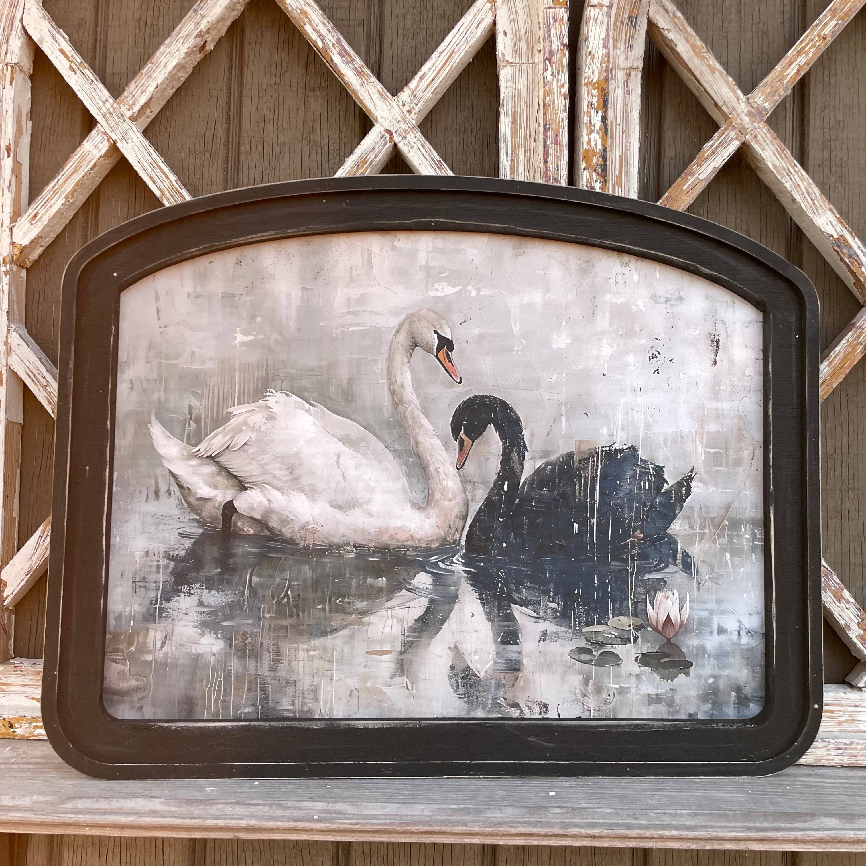Black and White Swan Arched Frame