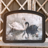 Black and White Swan Arched Frame