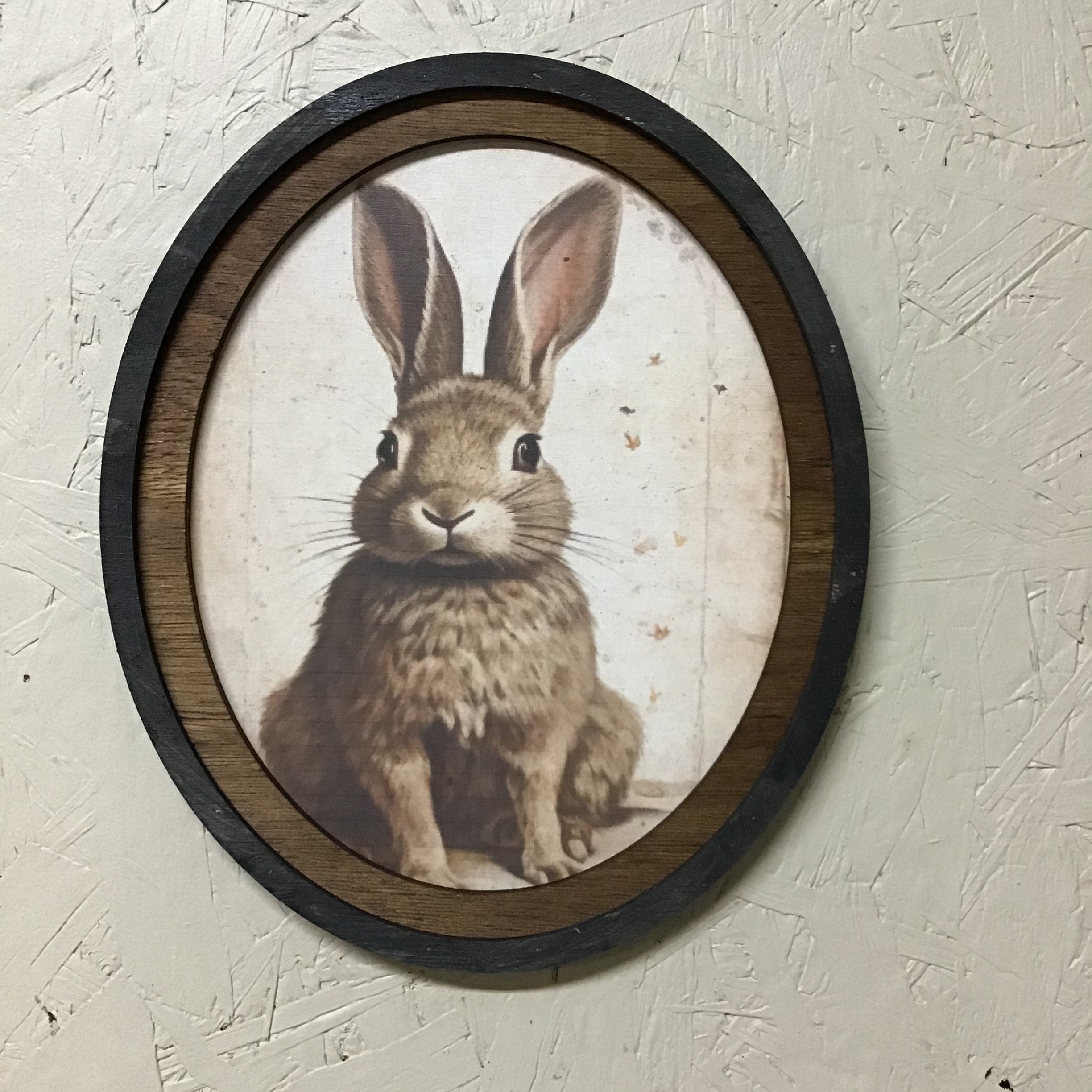 Oval Frame Hare/Bunny Sitting Print
