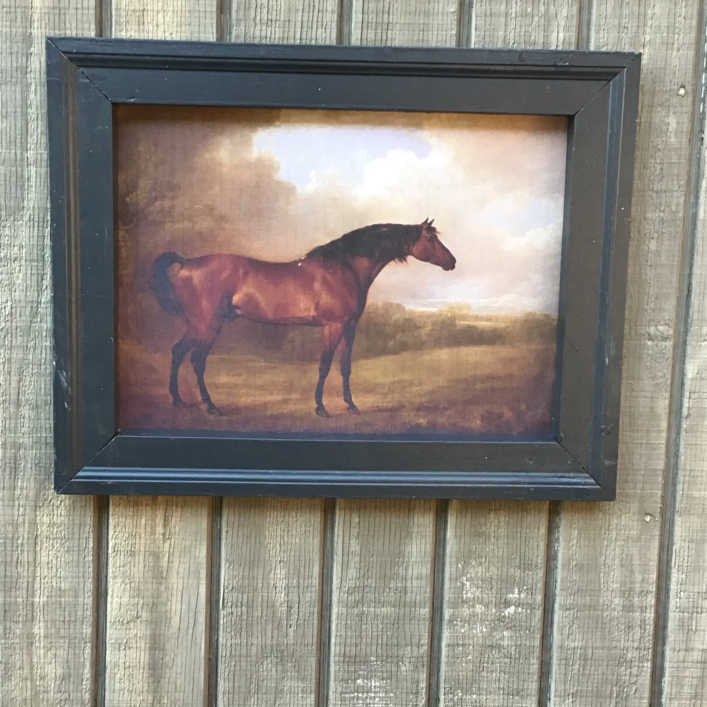Set of 4 Equestrian Prints