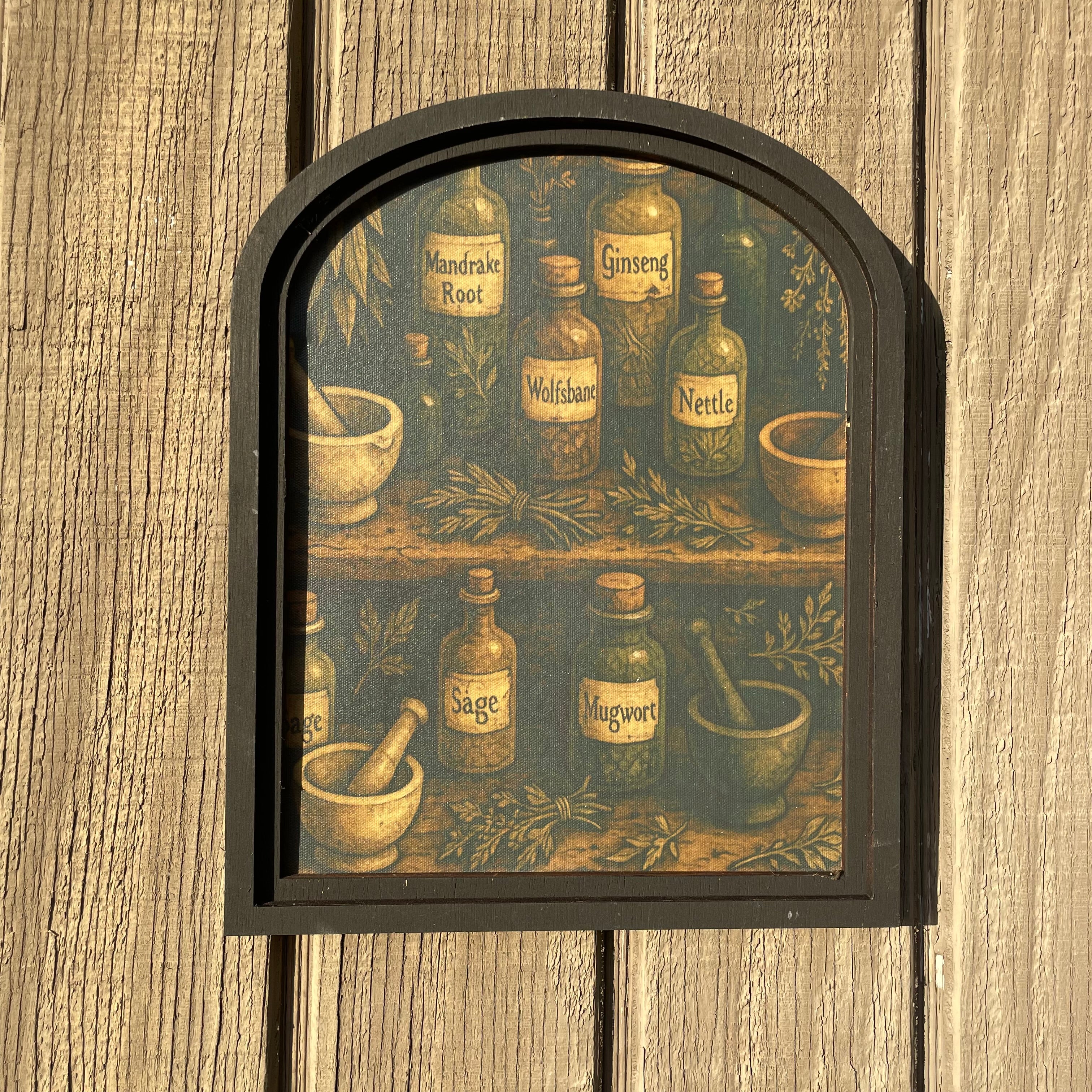 Set of 2 Apothecary Shelf Canvis Print Framed in Small Arch