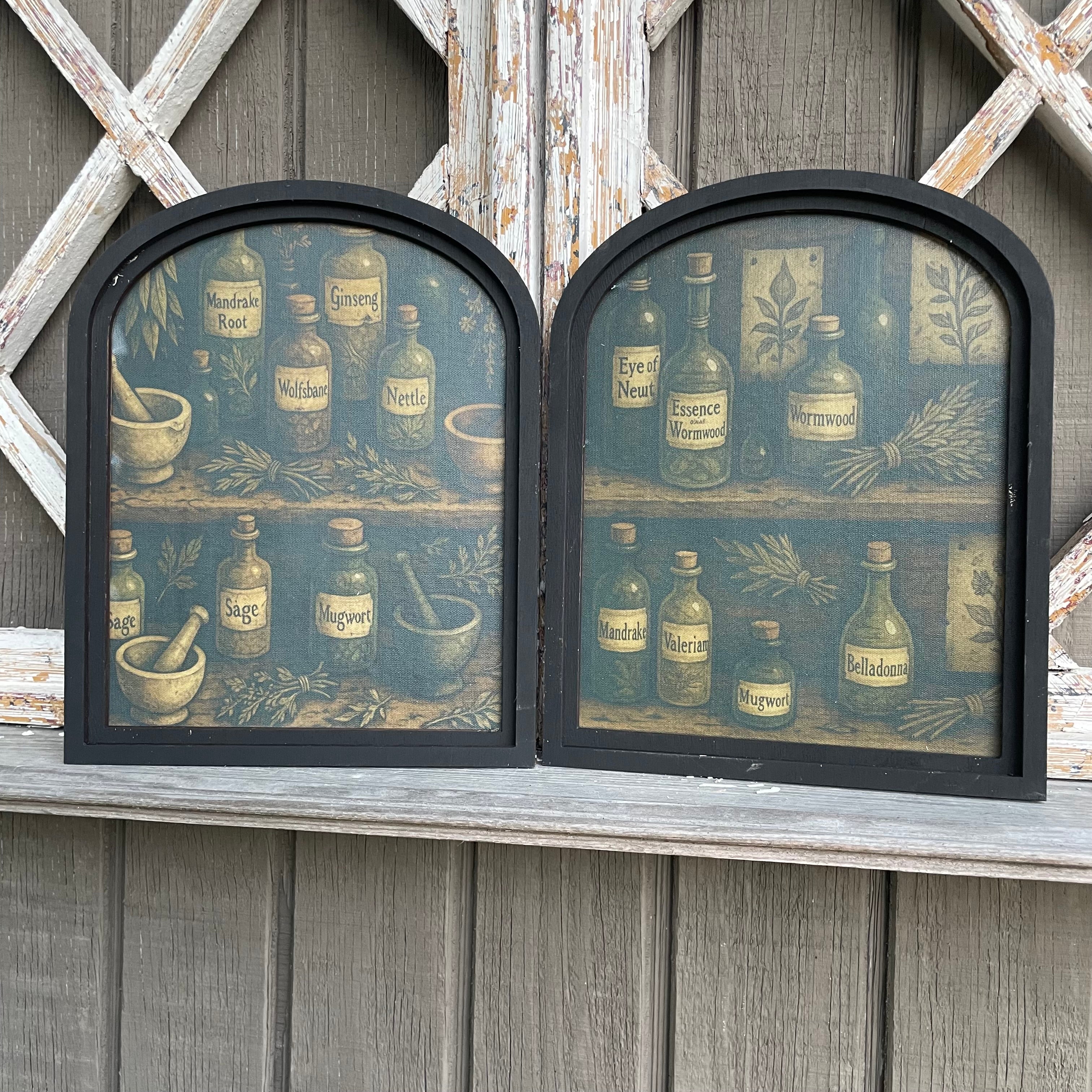 Set of 2 Apothecary Shelf Canvis Print Framed in Small Arch