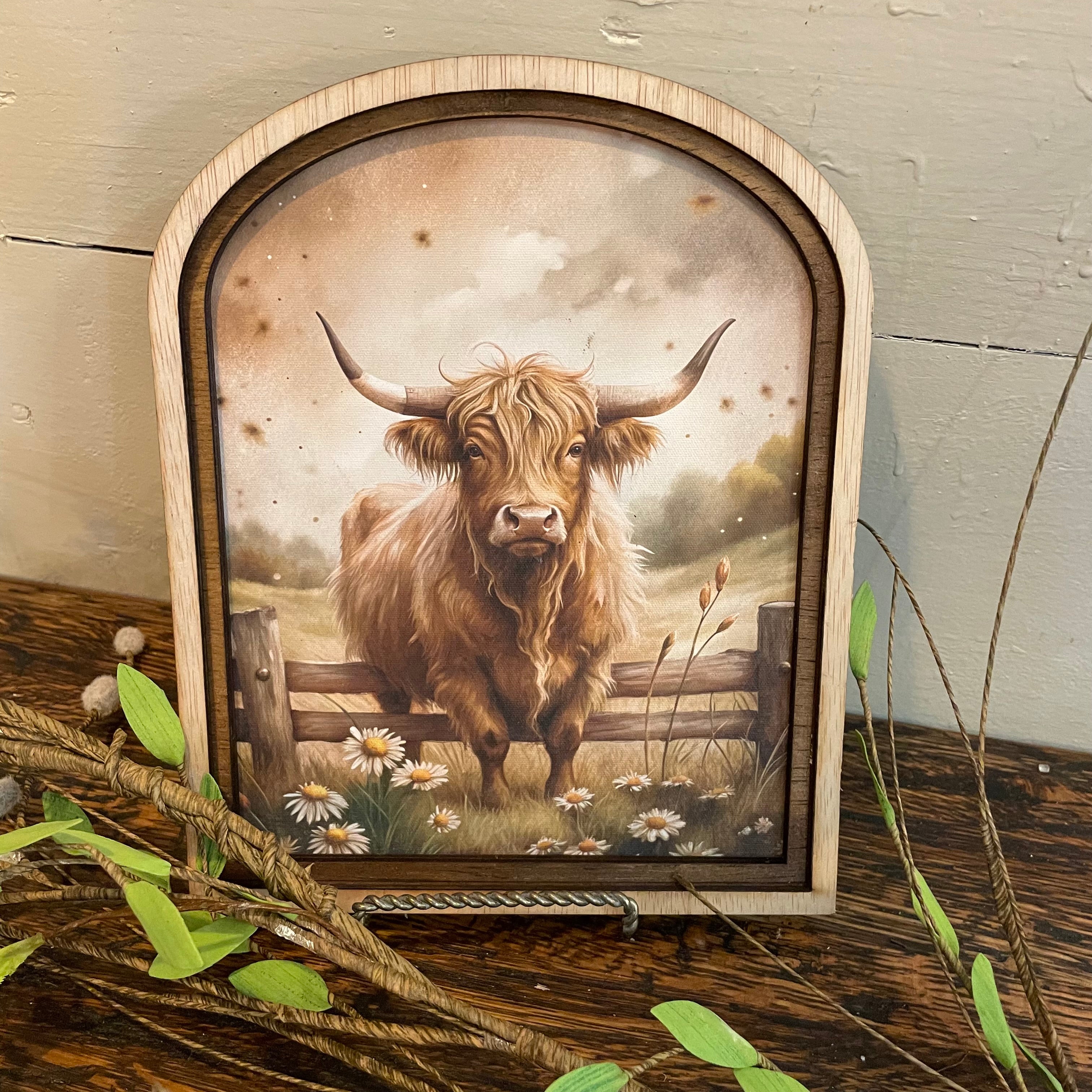 Highland Cow with daisies Canvas Print in Arched Frame