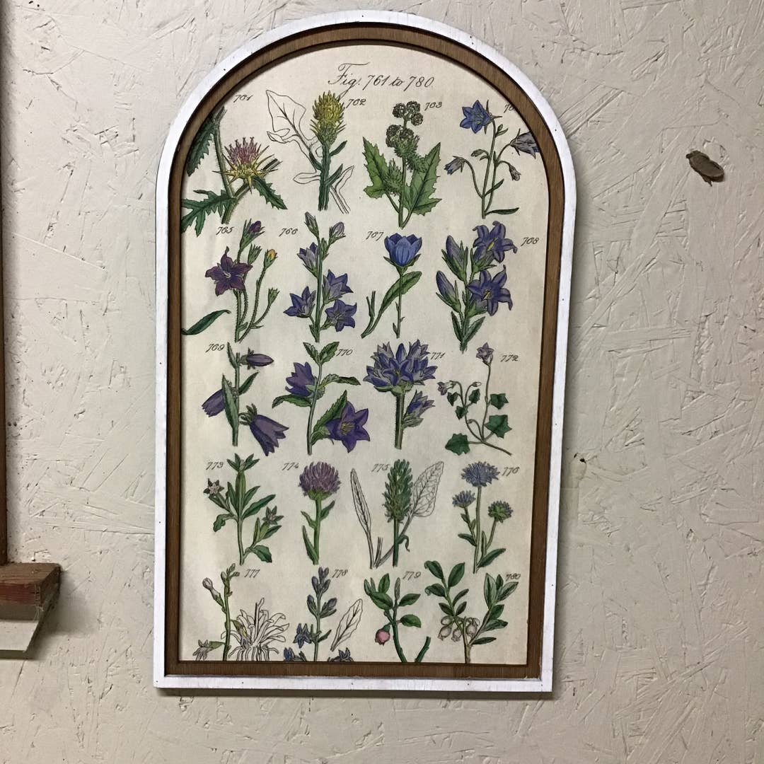 Set of 3 Botanical Wildflower Arch Prints