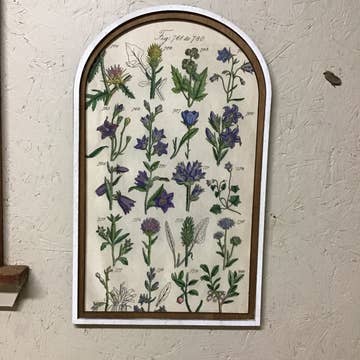 Set of 3 Botanical Wildflower Arch Prints