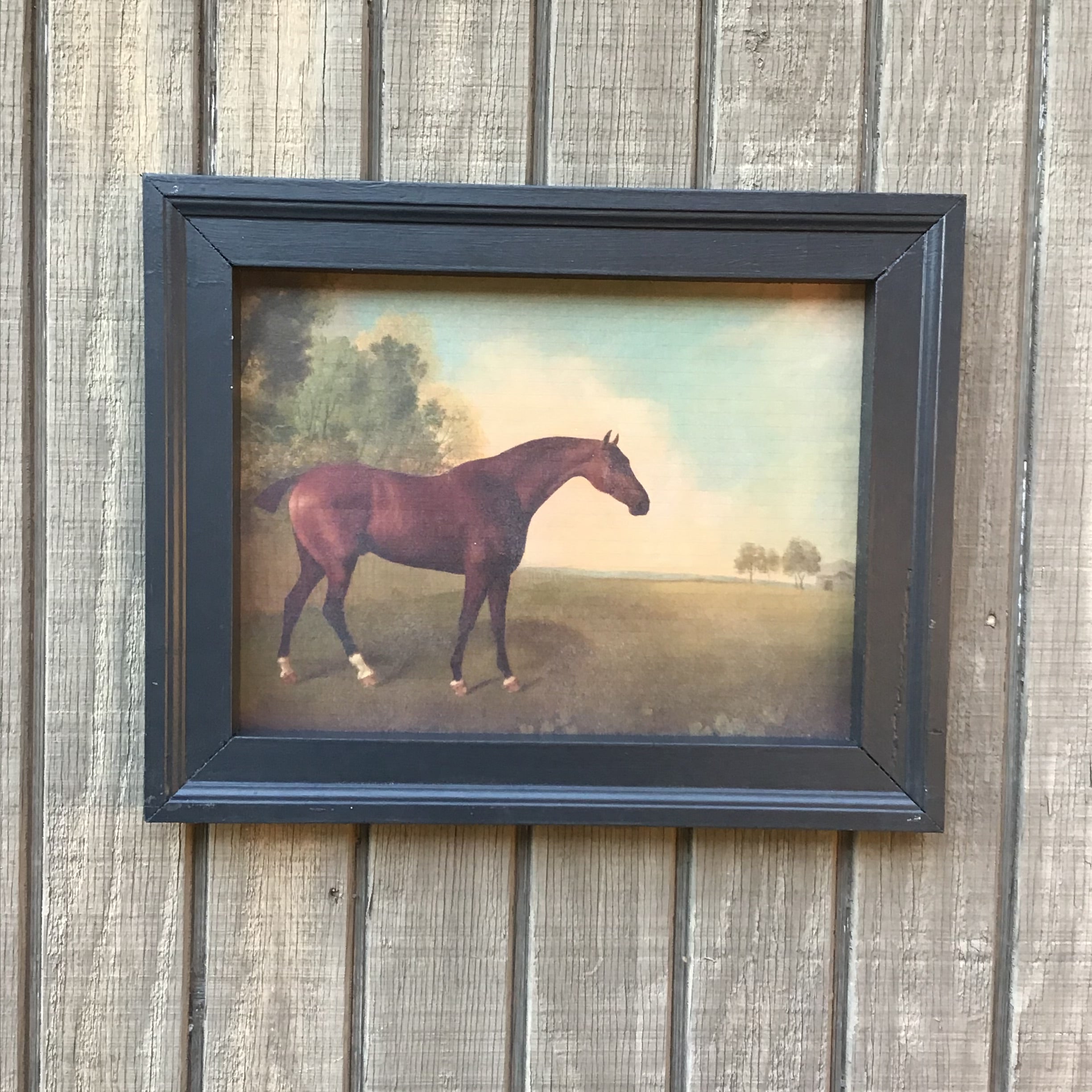 Set of 4 Equestrian Prints