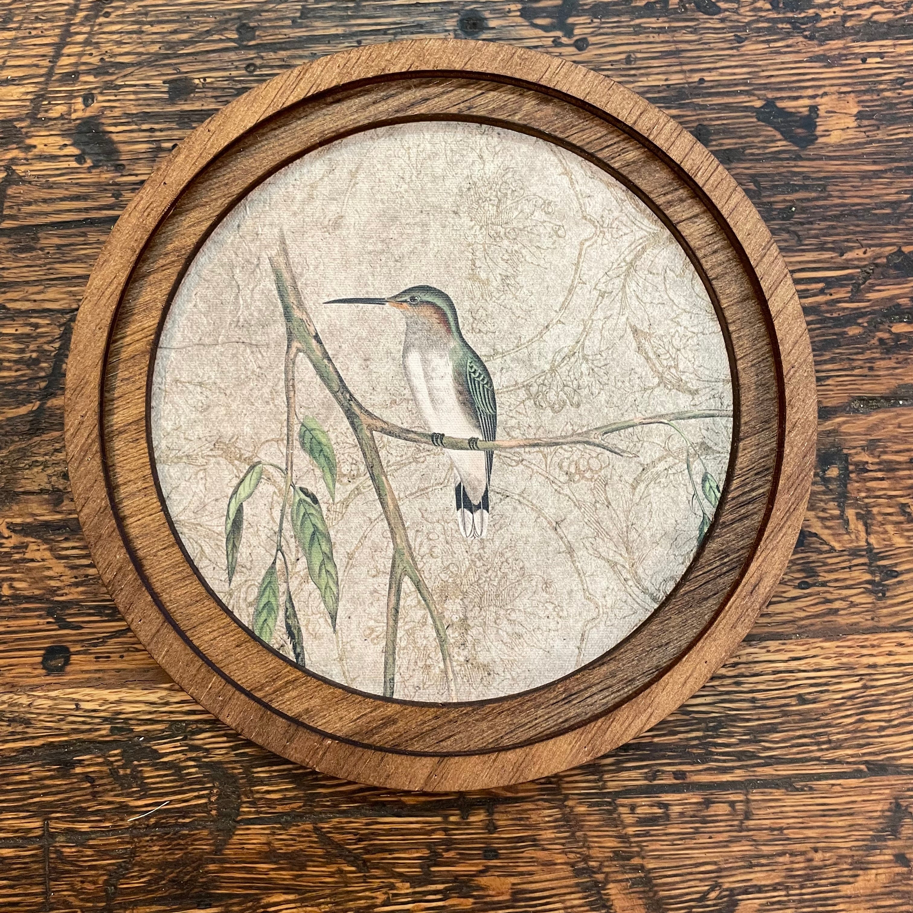 Hummingbird on Branch print in round frame