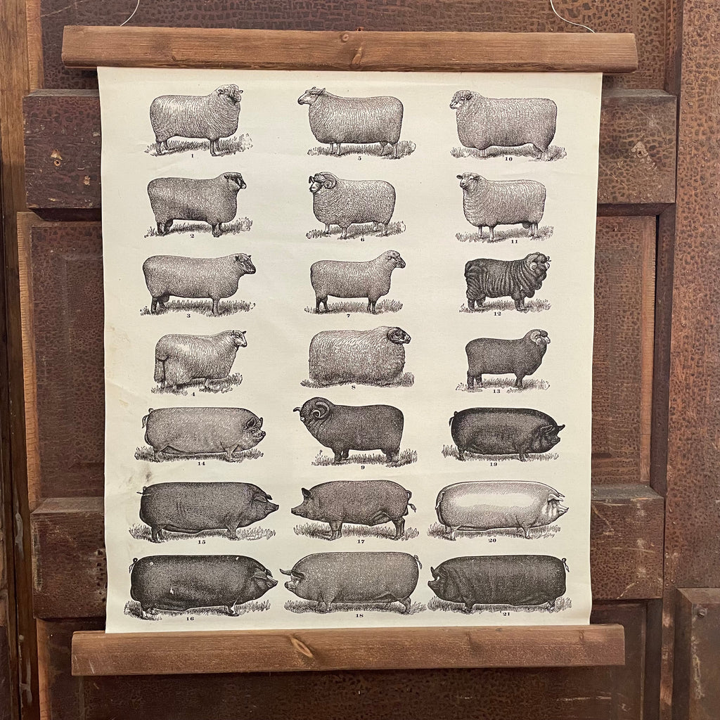 Vintage Lamb and Pig Hanging Canvas