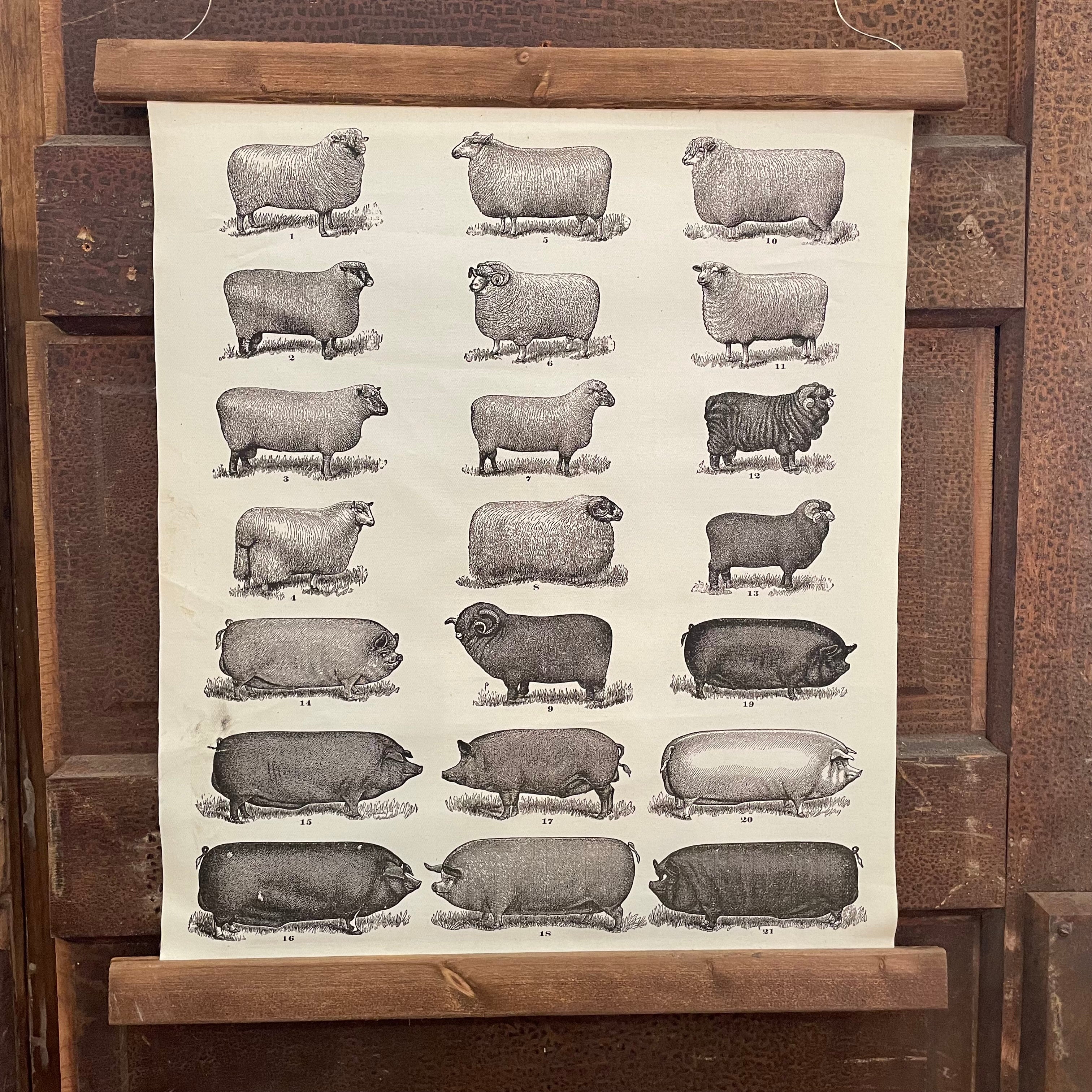Vintage Lamb and Pig Hanging Canvas