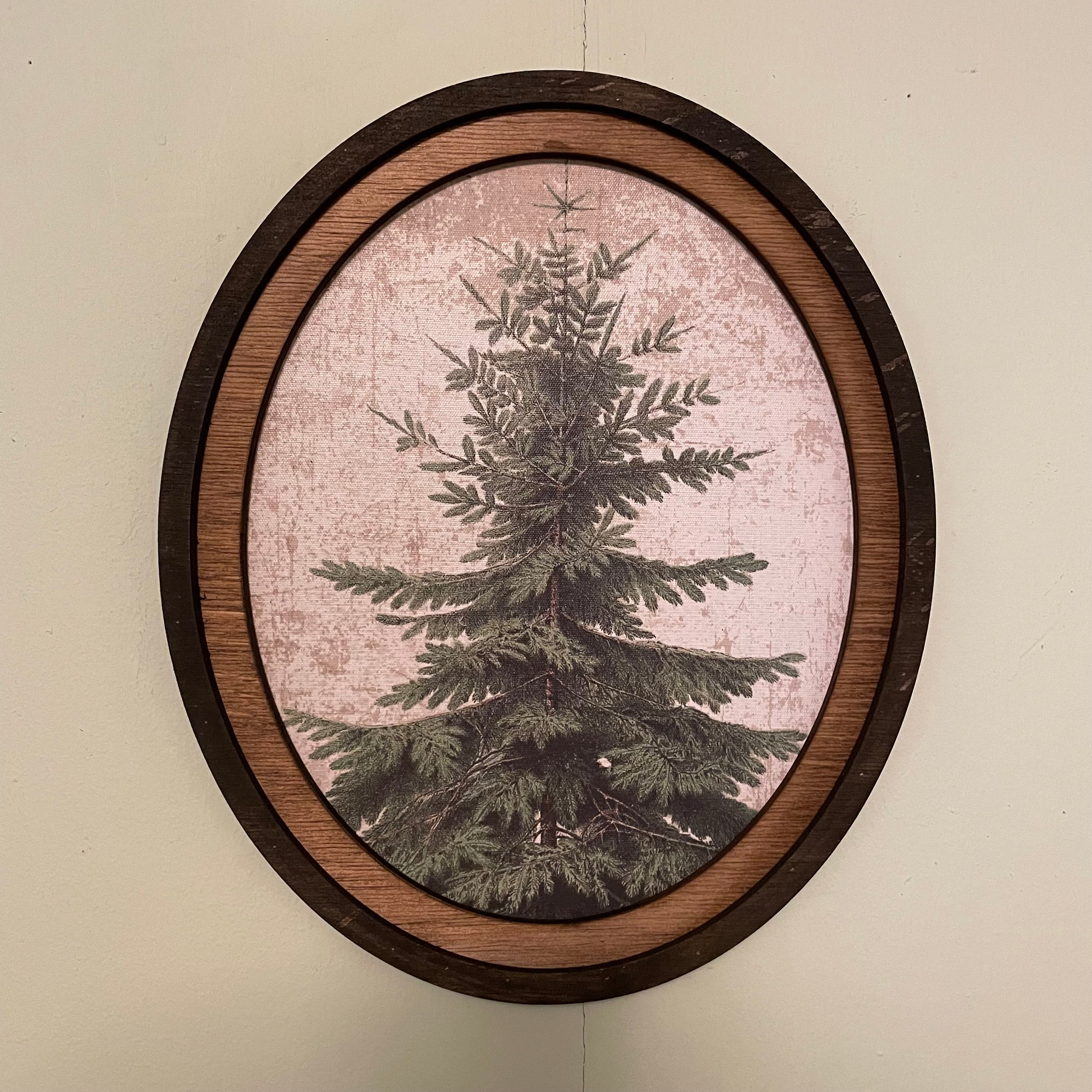 Douglas Fir Print Framed in Oval Frame