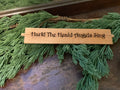 Hark! The Herald Angels Sing Shutter Stick