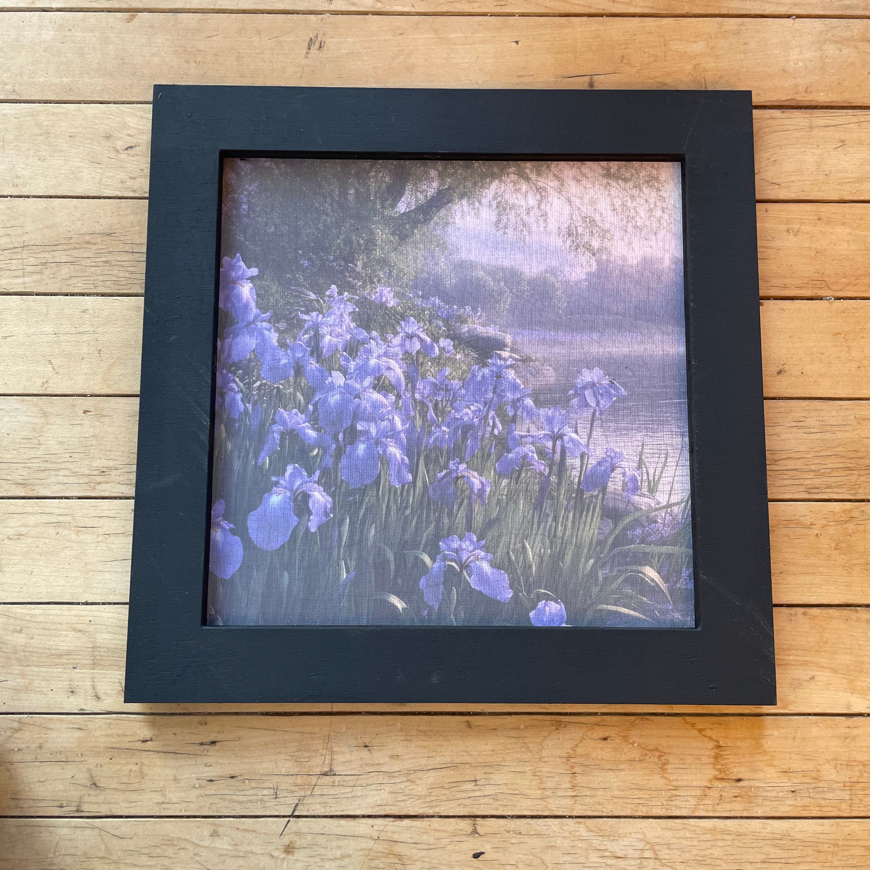 Square Iris on the River