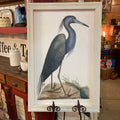 Blue Heron Framed Print Right Facing