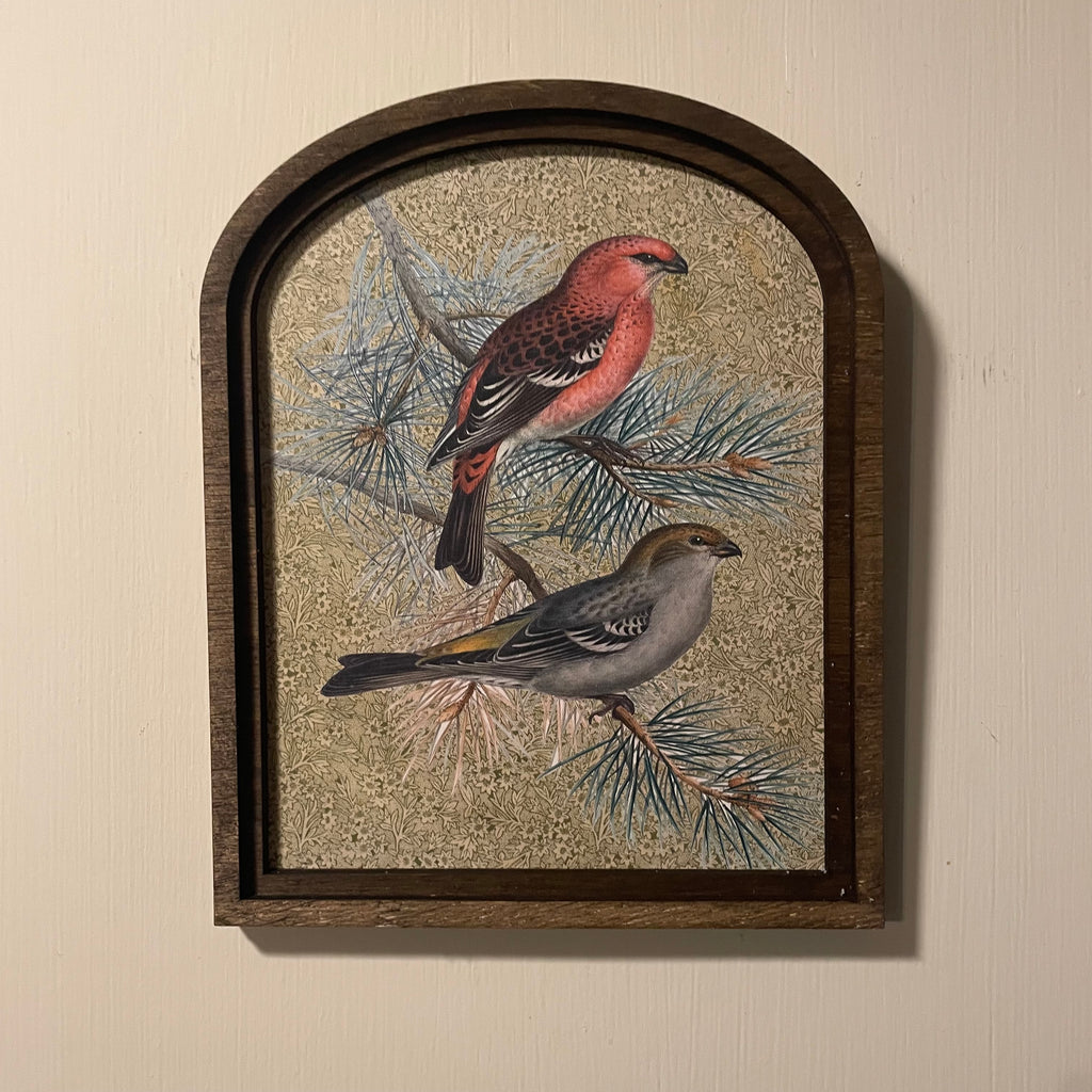 Crossbill Pine Pair of birds framed in Small Arch 