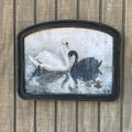 Black and White Swan Arched Frame