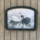 Black and White Swan Arched Frame