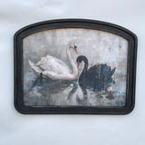 Black and White Swan Arched Frame