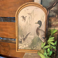 Ducks at Play Canvas Print Framed in Medium Arch