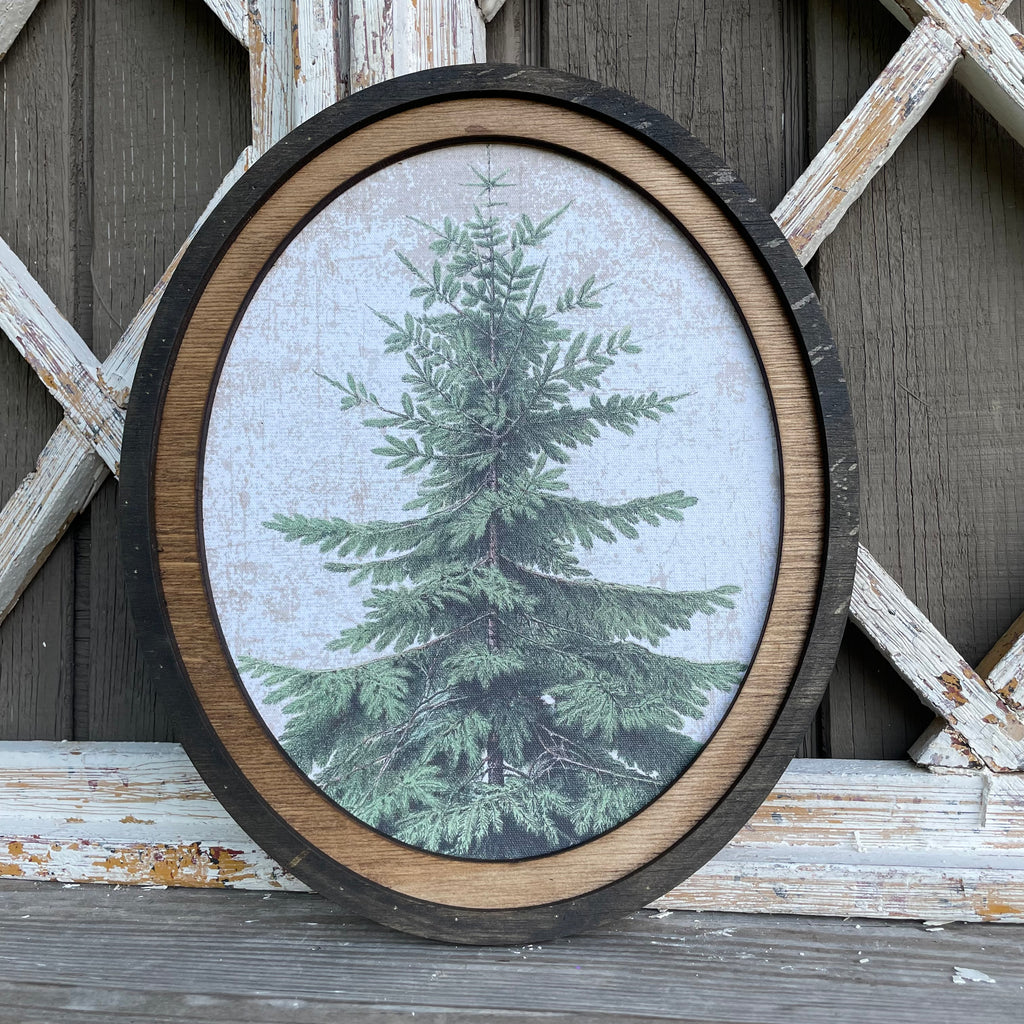 Douglas Fir Print Framed in Oval Frame