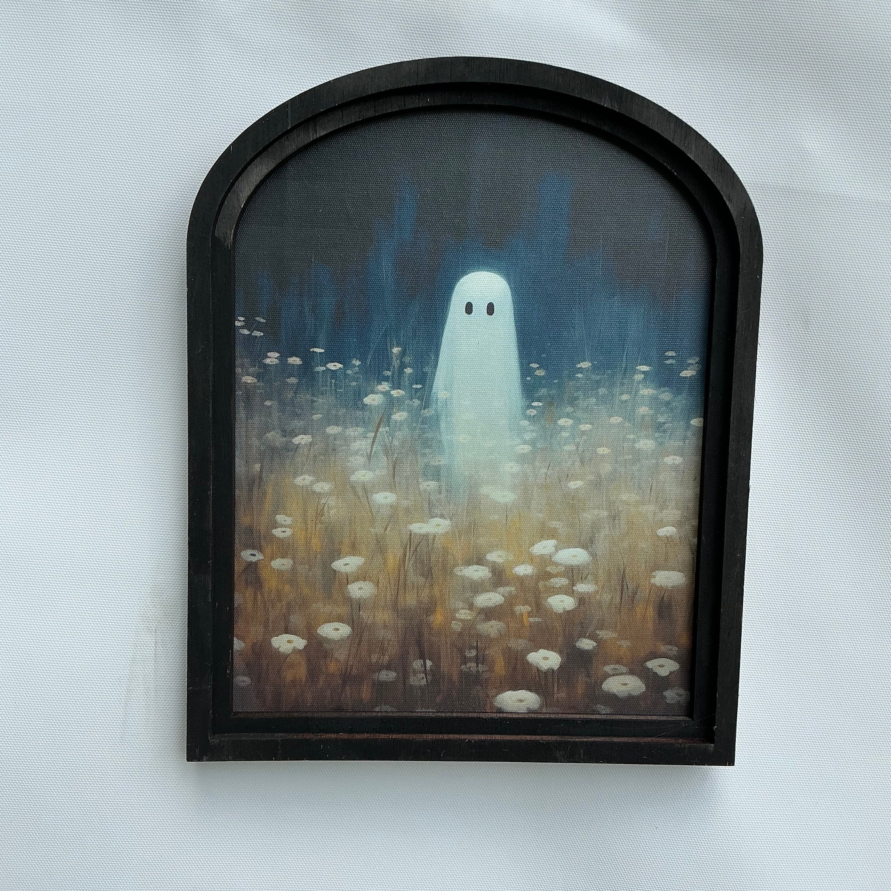 Ghost in field of daisies Canvas Print in Small Arch Frame
