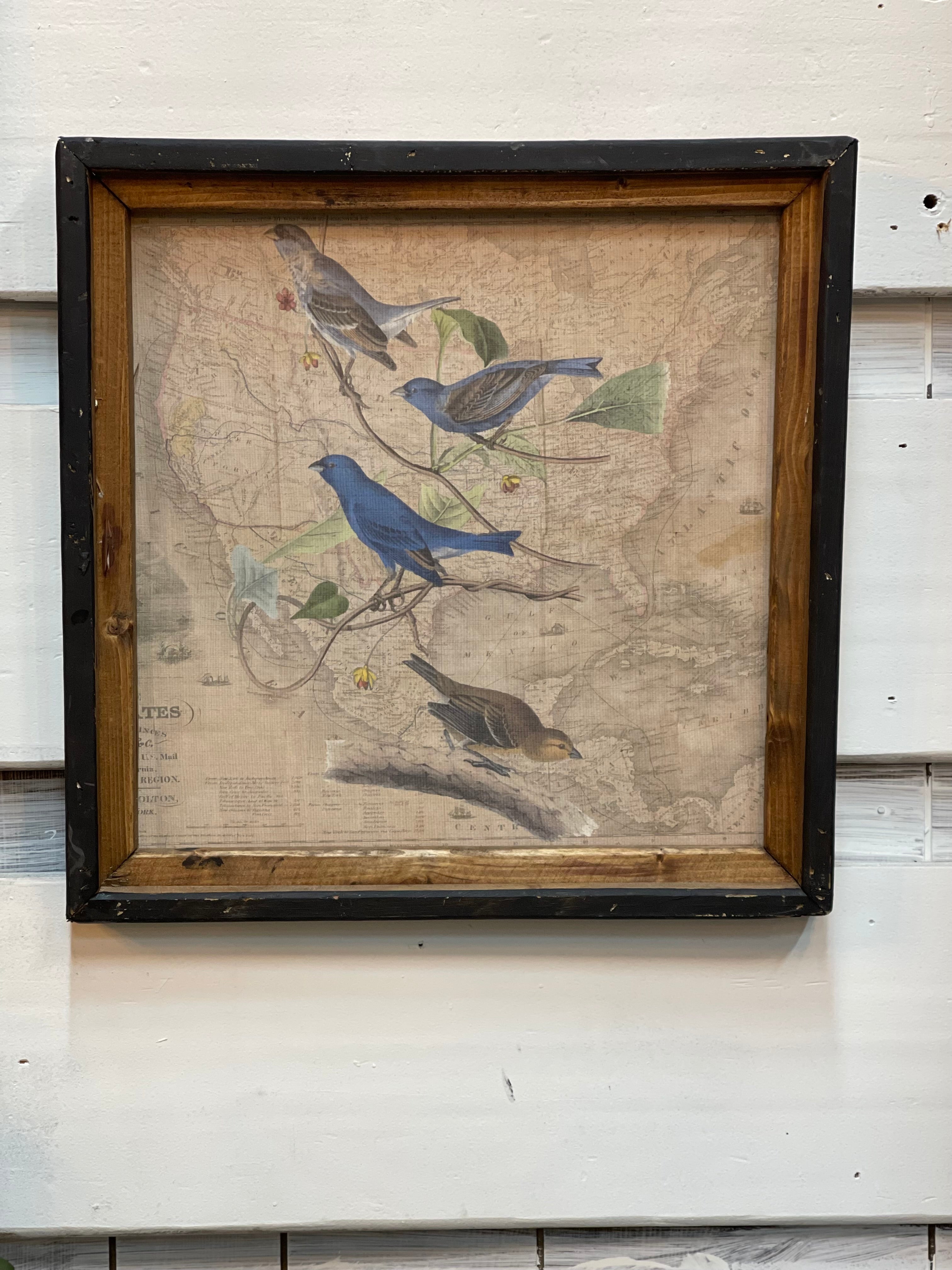 Blue Birds Square Canvas Print