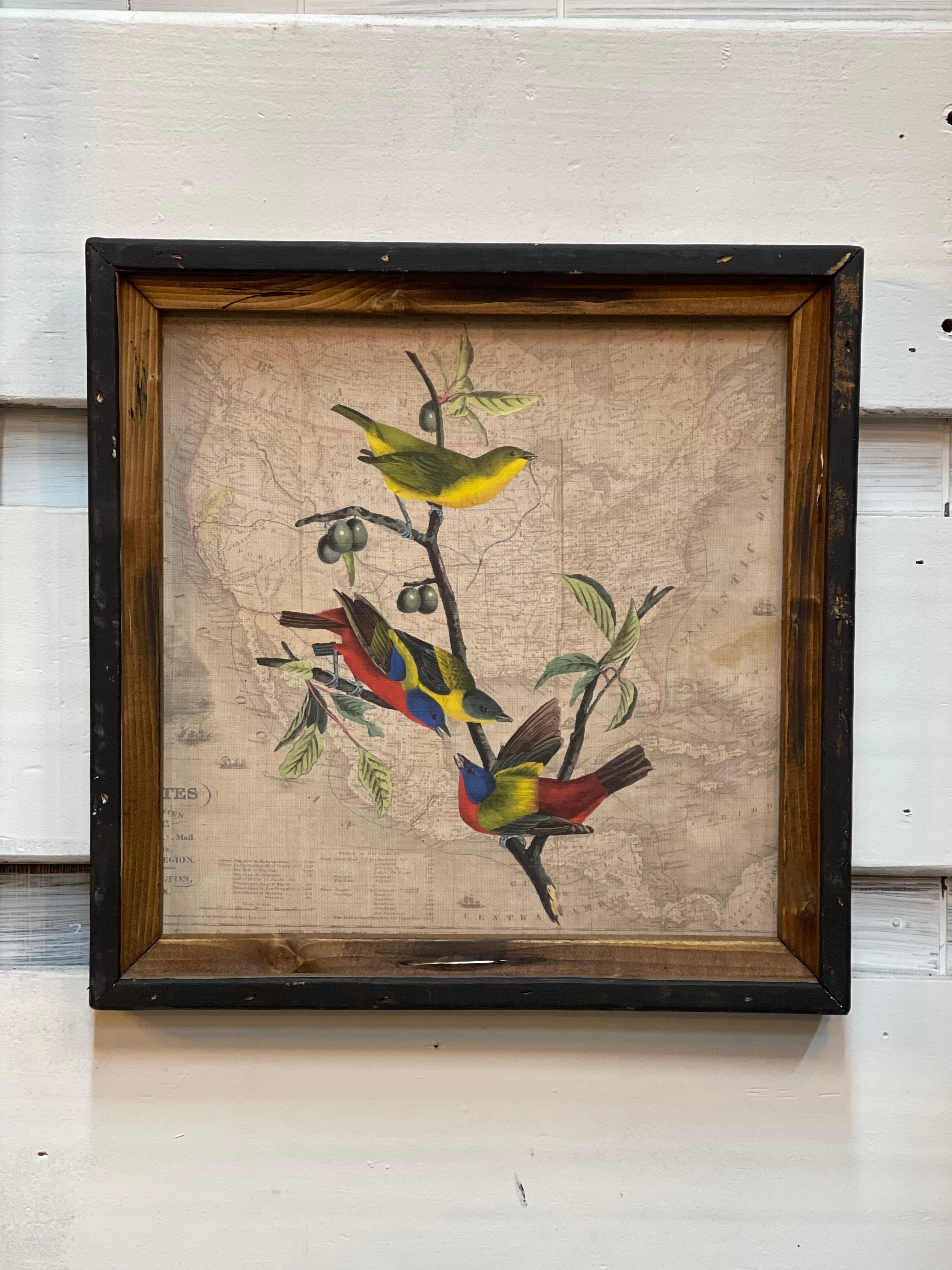 Colorful birds Square Canvas Print