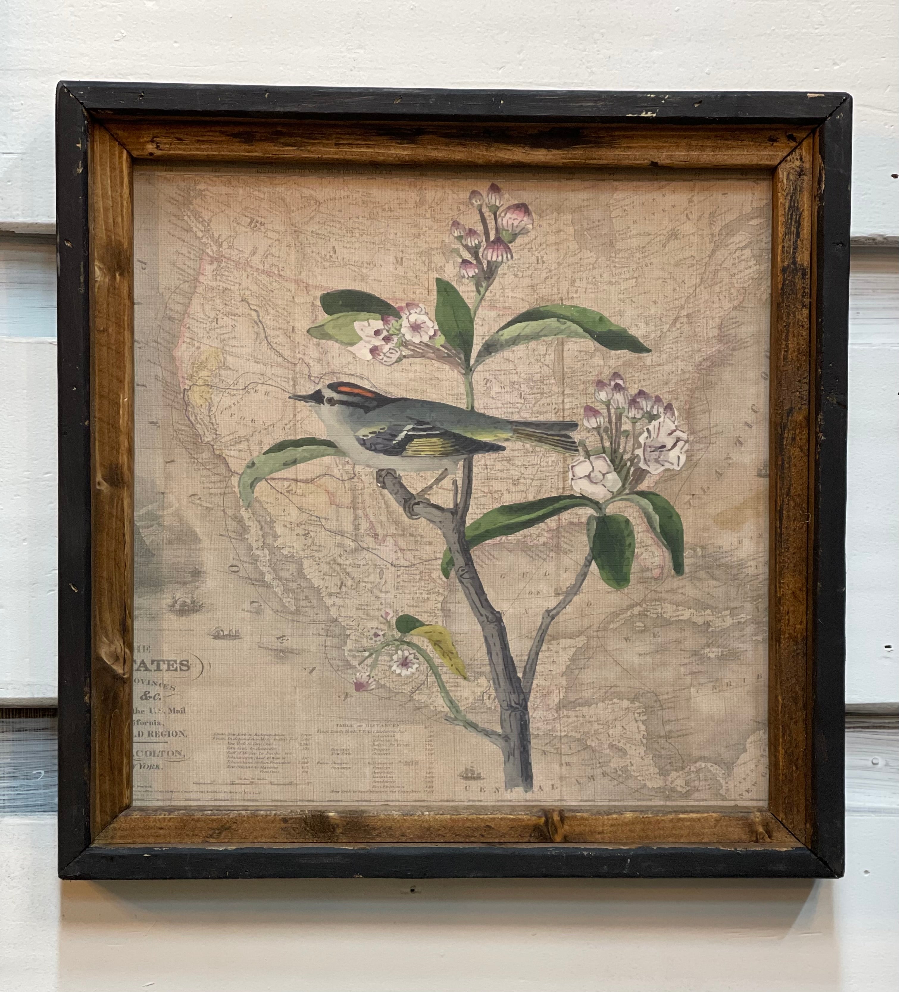 Bird with flowers Square Canvas Print