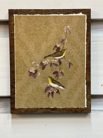 Set of 4 Birds on Box frame