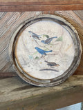 BLUE BIRDS ON MAP ROUND