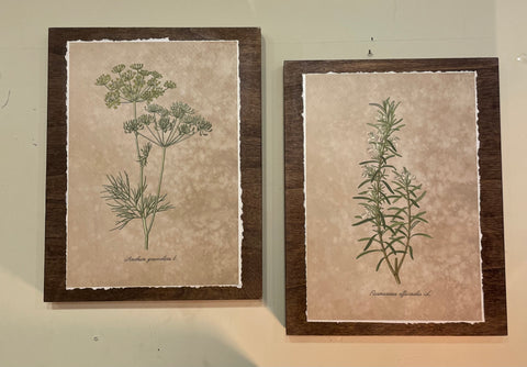 Set of 4 Herbs on Box frame