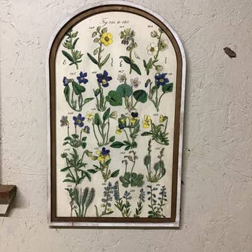 Set of 3 Botanical Wildflower Arch Prints