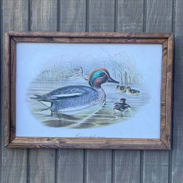 Teal Framed Duck Print