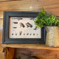 Framed Fishing Lures/Baits canvas print